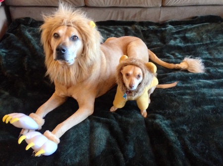 Gus&Ruby