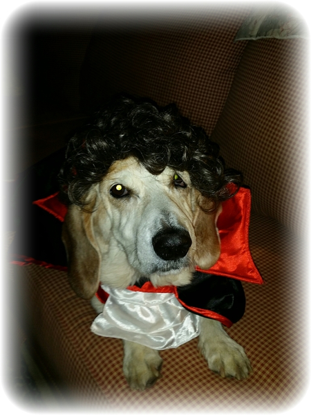 Count Buster
