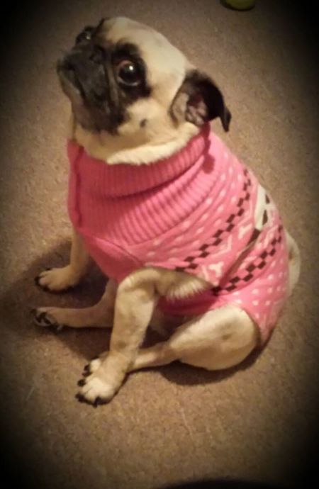 Peggy