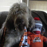 Entry image for ironquests Classic Juno