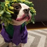 Entry image for Daisy