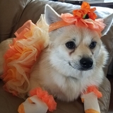 Entry image for Kyah