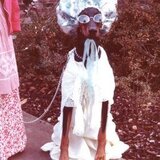 Entry image for Springhill's Warlock Witch 