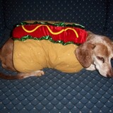 Entry image for Frölich