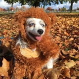 Entry image for Lily