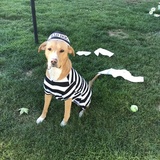 Entry image for Luna