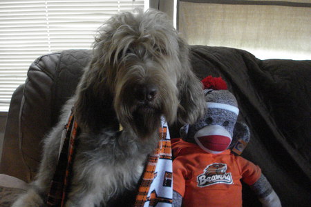 Entry image for ironquests Classic Juno. Clicking this image will show a larger photo