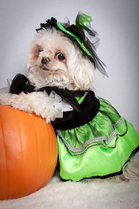 Entry image for Egg Roll (Eggie) Smith. Clicking this image will show a larger photo