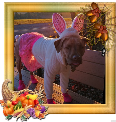 Entry image for Eva. Clicking this image will show a larger photo