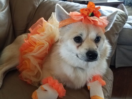 Entry image for Kyah. Clicking this image will show a larger photo