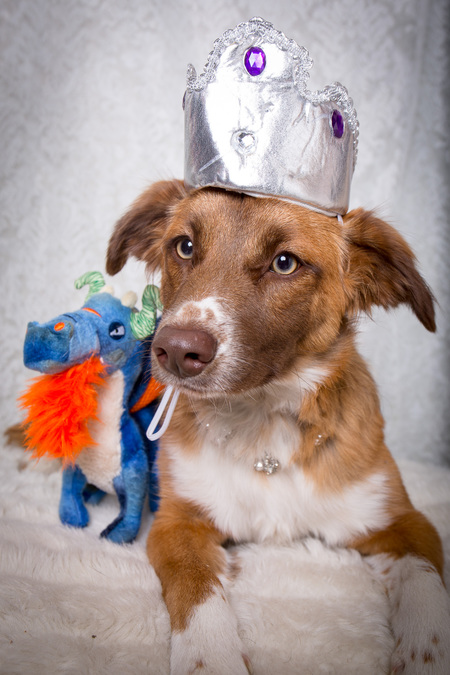 Entry image for Sharona. Clicking this image will show a larger photo