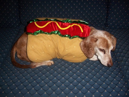 Entry image for Frölich. Clicking this image will show a larger photo