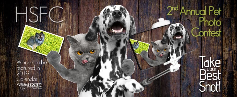 Banner for HSFC 2019 Calendar Photo Contest