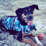 Entry image for Kane