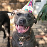 Entry image for Marlo