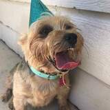 Entry image for Abby Lynn