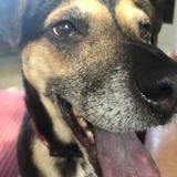 Entry image for Micky