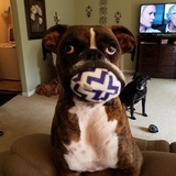 Entry image for Tatum aka Tater