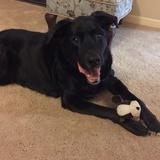 Entry image for Beaux