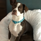 Entry image for Sydney