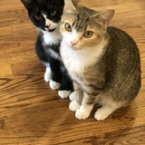 Entry image for Charlie & Abbie