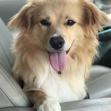 Entry image for Everest