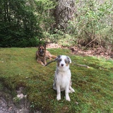 Entry image for Sam and Foster