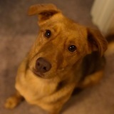 Entry image for Reeses