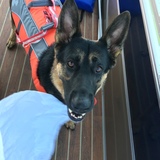 Entry image for Tiana 