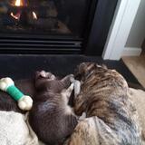 Entry image for Dudley and Cindi Lou