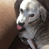 Entry image for Todd