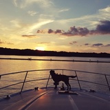 Entry image for Winston