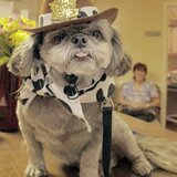 Entry image for Coco