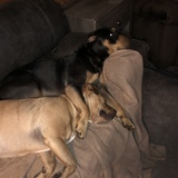 Entry image for Ava and Raylan