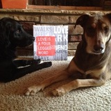 Entry image for Hank and Nicki