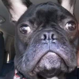 Entry image for Bentley 