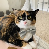 Entry image for Barb