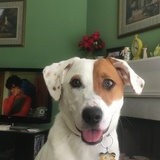 Entry image for Letty