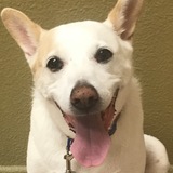 Entry image for Jersey