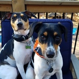 Entry image for Bella and Carl 