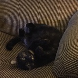 Entry image for Caroline 