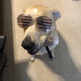 Entry image for Simon Asher