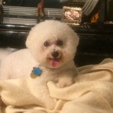 Entry image for Eric