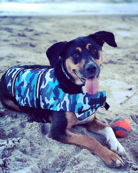 Entry image for Kane. Clicking this image will show a larger photo