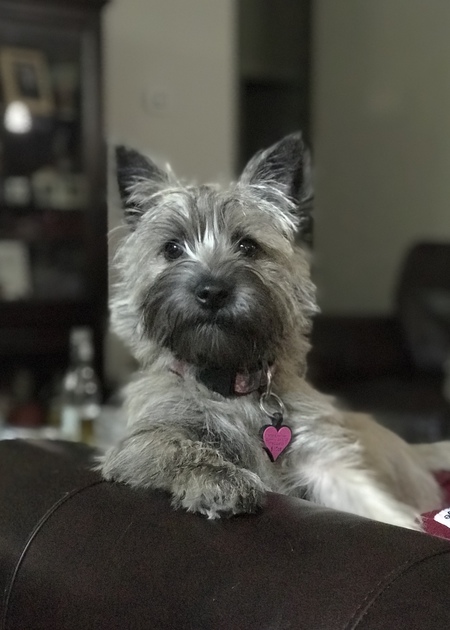 Entry image for Heidi. Clicking this image will show a larger photo