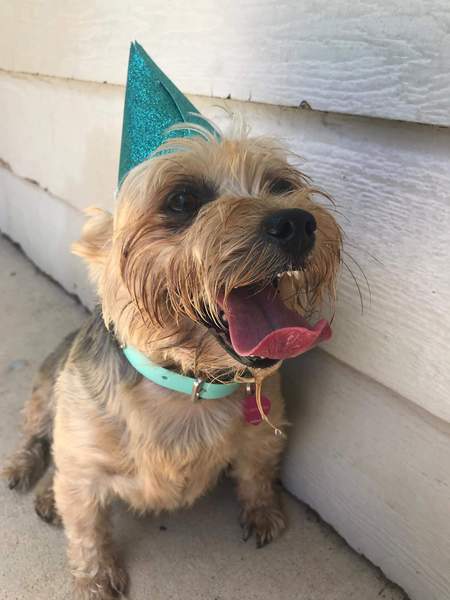 Entry image for Abby Lynn. Clicking this image will show a larger photo