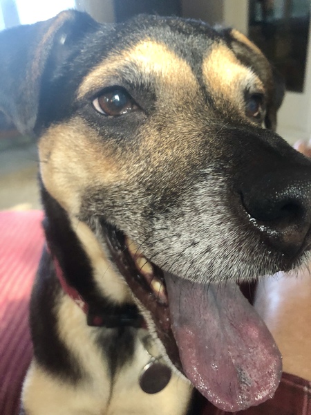 Entry image for Micky. Clicking this image will show a larger photo