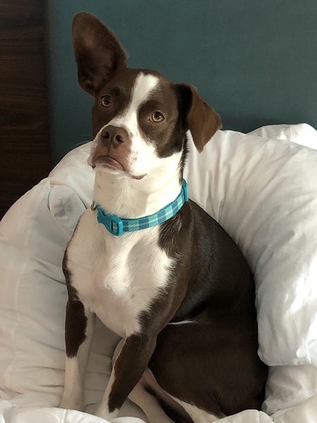 Entry image for Sydney. Clicking this image will show a larger photo