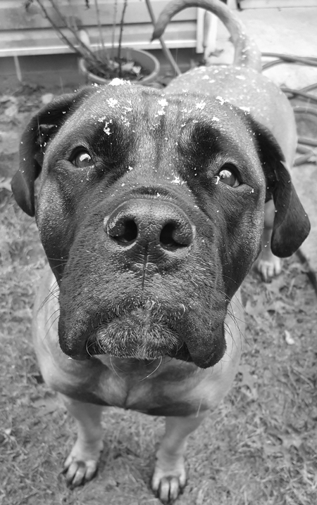 Entry image for She-ra. Clicking this image will show a larger photo