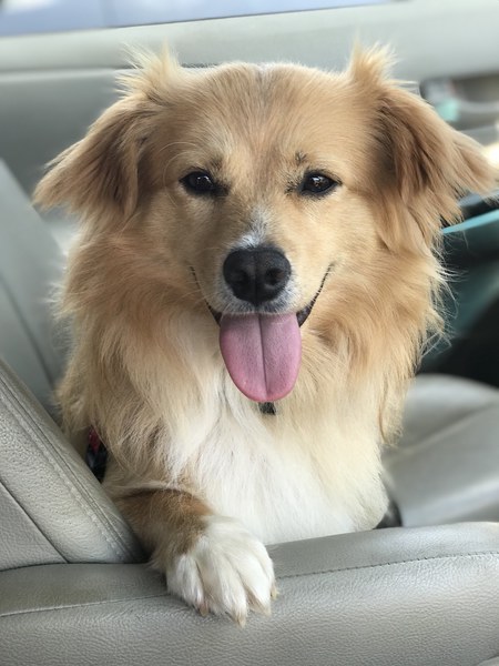 Entry image for Everest. Clicking this image will show a larger photo